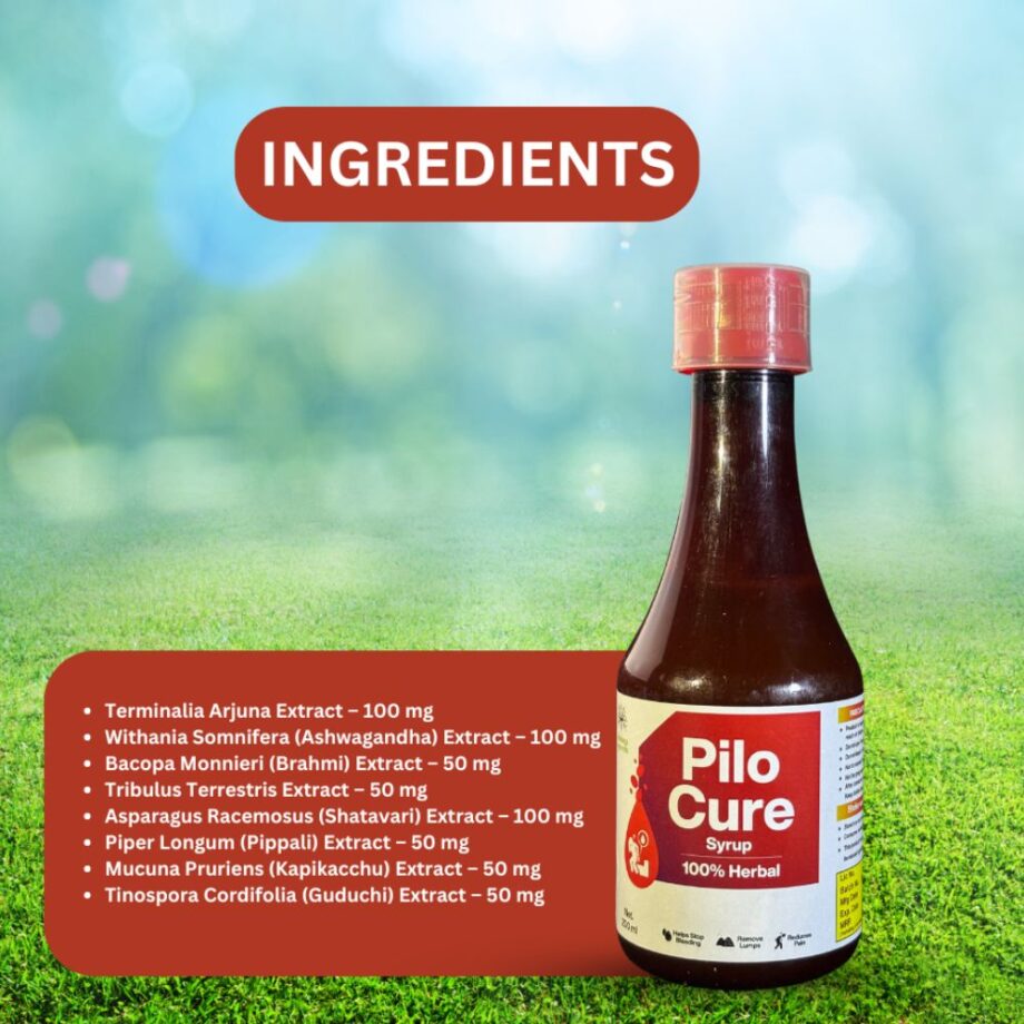 MAHAKAYA PILO CURE SYRUP